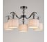 Потолочный светильник ARTE LAMP A4038PL-5CC 2