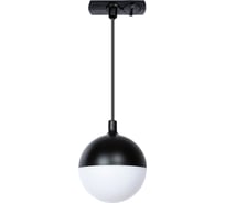 Потолочный светильник ARTE LAMP A4564PL-1BK