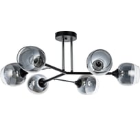 Потолочный светильник ARTE LAMP A3580PL-6BK