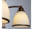 Подвесной светильник ARTE LAMP A9518LM-5BA 3