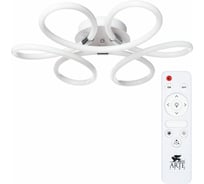 Потолочный светильник ARTE LAMP A1439PL-60CC