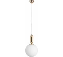Подвесной светильник ARTE LAMP A3034SP-1GO