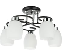 Потолочный светильник ARTE LAMP A4505PL-5BK
