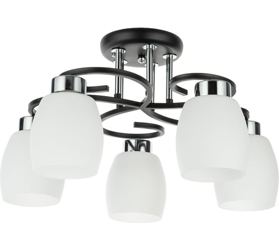 Потолочный светильник ARTE LAMP A4505PL-5BK 1