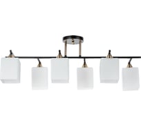 Потолочный светильник ARTE LAMP A4071PL-6BK