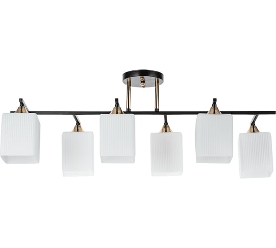 Потолочный светильник ARTE LAMP A4071PL-6BK 1
