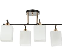 Потолочный светильник ARTE LAMP A4071PL-4BK