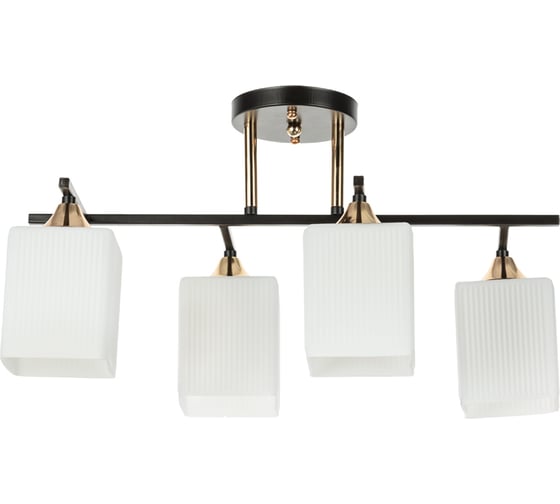 Потолочный светильник ARTE LAMP A4071PL-4BK 1