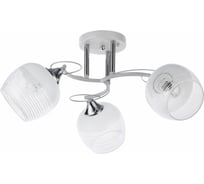 Потолочный светильник ARTE LAMP A4121PL-3WH