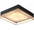 Потолочный светильник ST luce SL1127.422.05 1