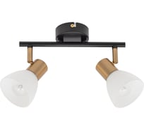 Потолочный светильник ARTE LAMP A3117PL-2BK