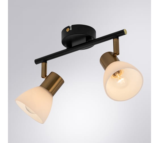 Потолочный светильник ARTE LAMP A3117PL-2BK
