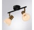 Потолочный светильник ARTE LAMP A3117PL-2BK 2