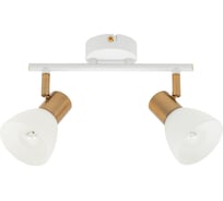 Потолочный светильник ARTE LAMP A3117PL-2WH