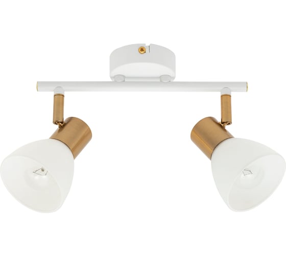 Потолочный светильник ARTE LAMP A3117PL-2WH
