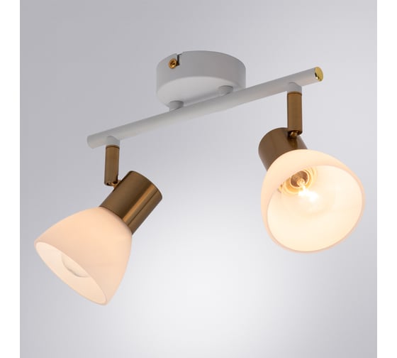 Потолочный светильник ARTE LAMP A3117PL-2WH