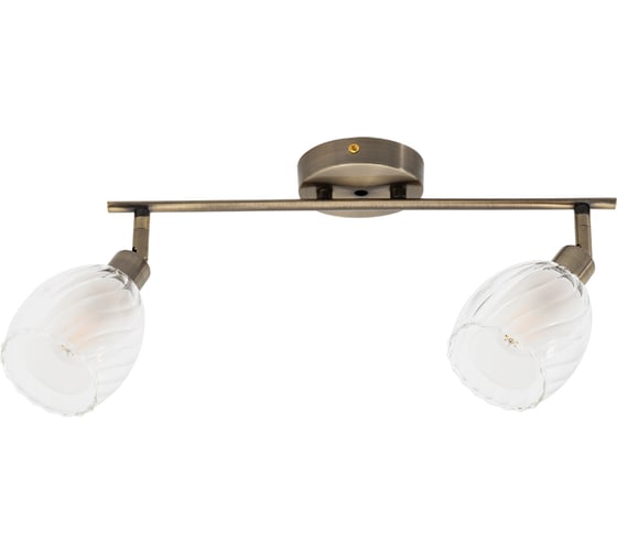 Потолочный светильник ARTE LAMP A3184PL-2AB 1