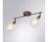 Потолочный светильник ARTE LAMP A3184PL-2AB 2