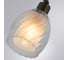 Потолочный светильник ARTE LAMP A3184PL-2AB 3