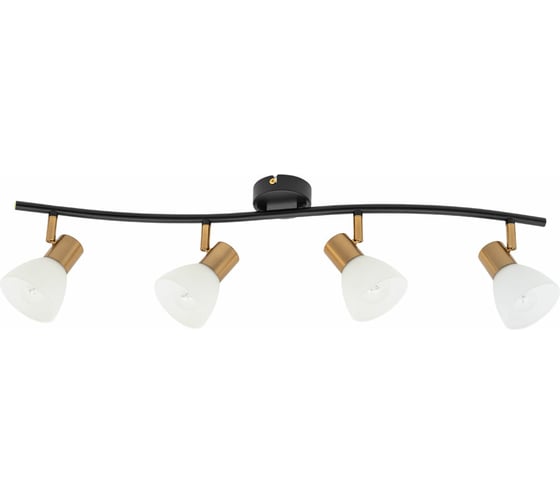 Потолочный светильник ARTE LAMP A3117PL-4BK