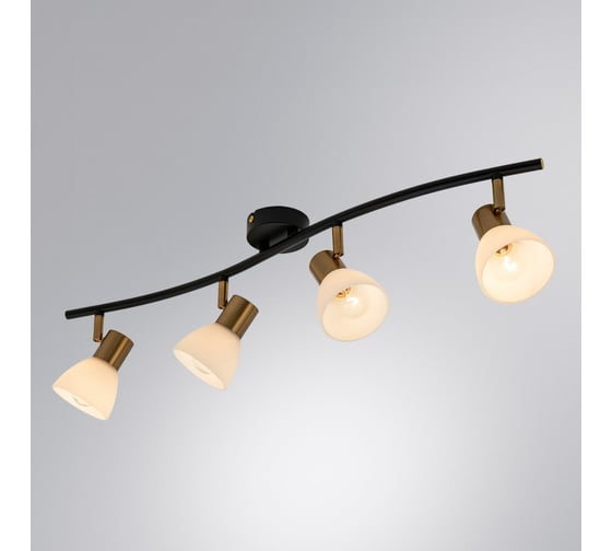Потолочный светильник ARTE LAMP A3117PL-4BK
