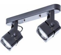 Потолочный светильник ARTE LAMP A1315PL-2BK