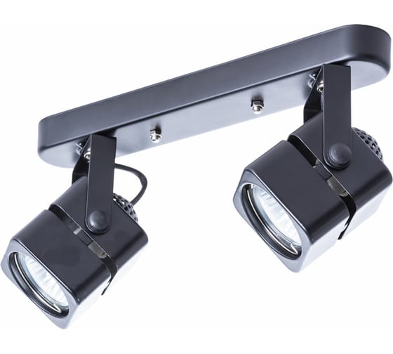 Потолочный светильник ARTE LAMP A1315PL-2BK