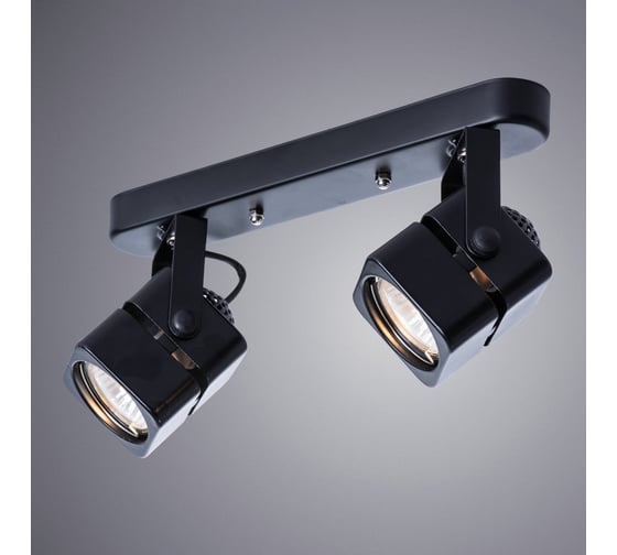Потолочный светильник ARTE LAMP A1315PL-2BK