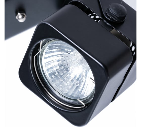 Потолочный светильник ARTE LAMP A1315PL-2BK