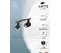Потолочный светильник ARTE LAMP A1315PL-2BK 6