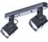 Потолочный светильник ARTE LAMP A1315PL-2BK 1