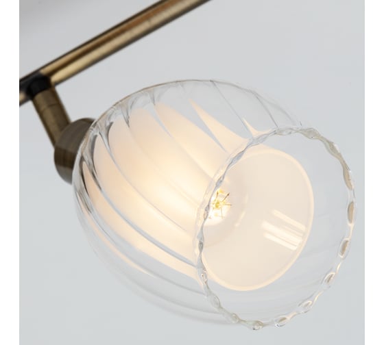 Потолочный светильник ARTE LAMP A3184PL-4AB