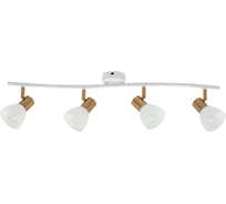 Потолочный светильник ARTE LAMP A3117PL-4WH