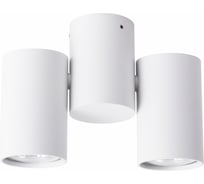 Потолочный светильник ARTE LAMP A1511PL-2WH