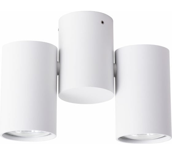 Потолочный светильник ARTE LAMP A1511PL-2WH