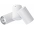 Потолочный светильник ARTE LAMP A1511PL-2WH 3
