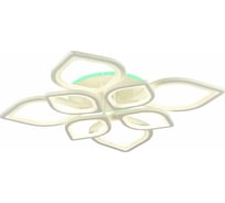 Потолочный светильник EVOLED SLE501052-08RGB