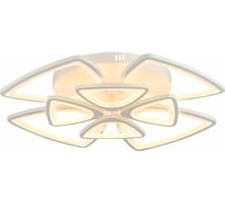 Потолочный светильник EVOLED SLE501152-08