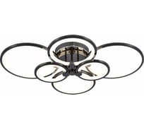 Потолочный светильник EVOLED SLE200382-06