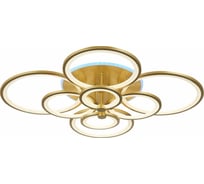 Потолочный светильник EVOLED SLE200322-08RGB