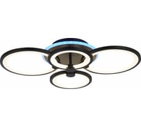 Потолочный светильник EVOLED SLE200342-04RGB