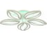Потолочный светильник EVOLED SLE501352-05RGB 1