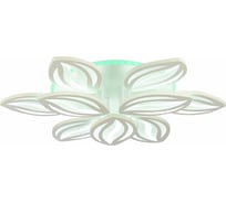 Потолочный светильник EVOLED SLE501352-09RGB