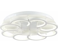 Потолочный светильник Evoluce SLE200502-08