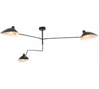 Потолочная люстра ST luce SL305.402.03