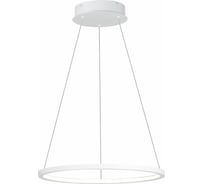 Подвесной светильник ST luce ST603.543.22