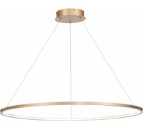 Подвесной светильник ST luce ST603.243.46