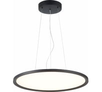 Подвесной светильник ST luce ST602.443.56