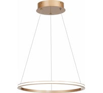 Подвесной светильник ST luce ST604.243.22