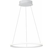 Подвесной светильник ST luce ST604.543.22